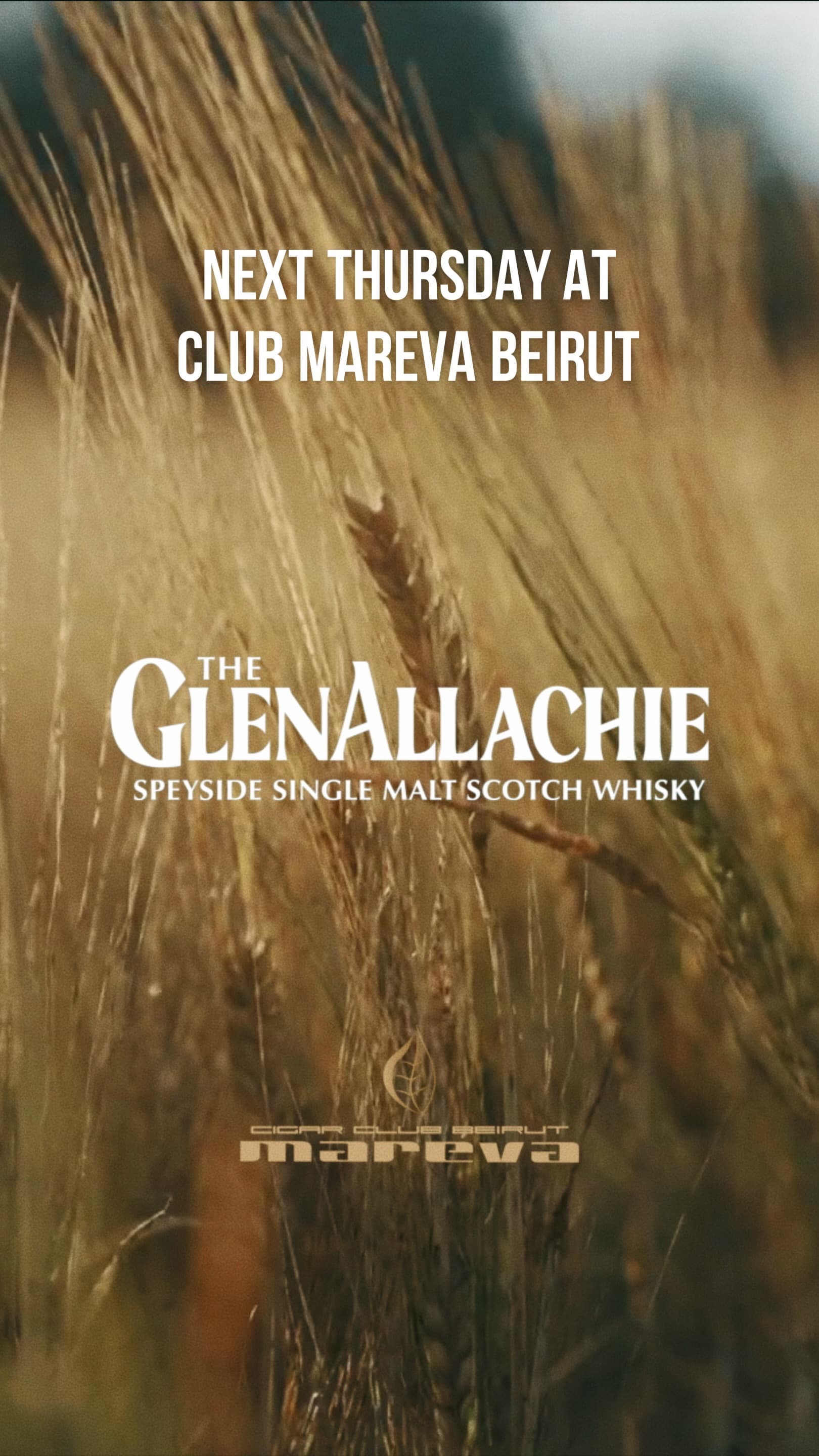 The GlenAllachie Tasting at Club Mareva Beirut