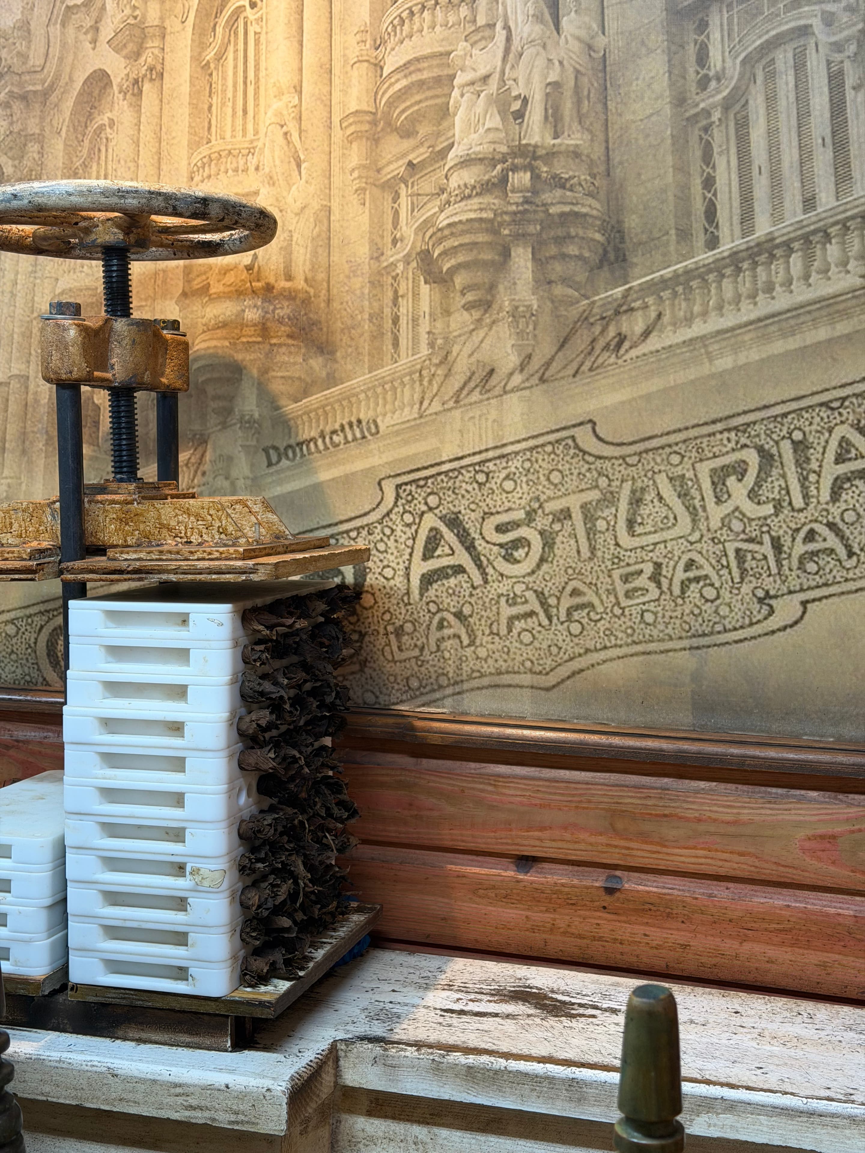 Arturo Fuente Factory Visit | ProCigar 2026 - Image 9