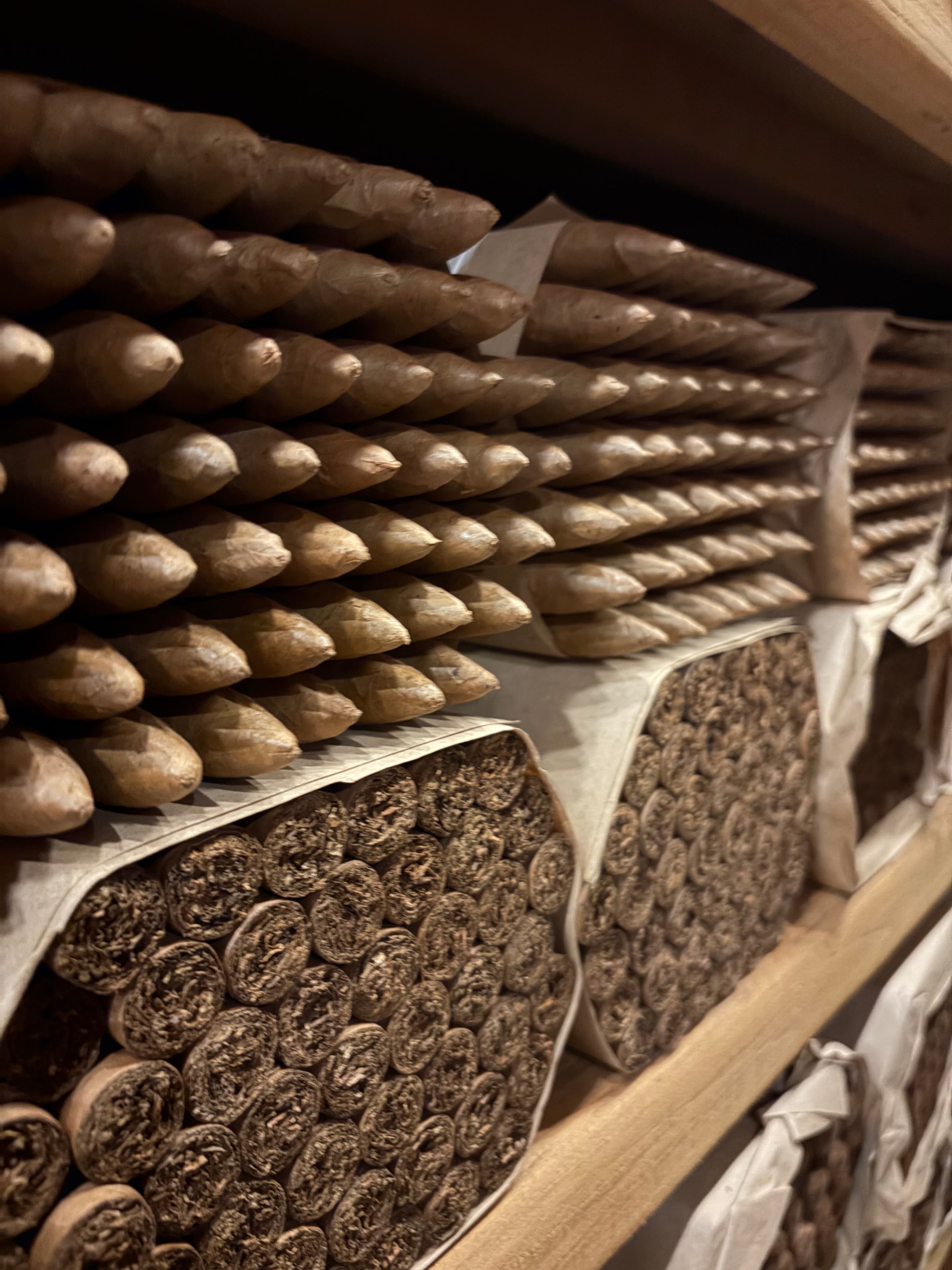 Arturo Fuente Factory Visit | ProCigar 2026 - Image 70