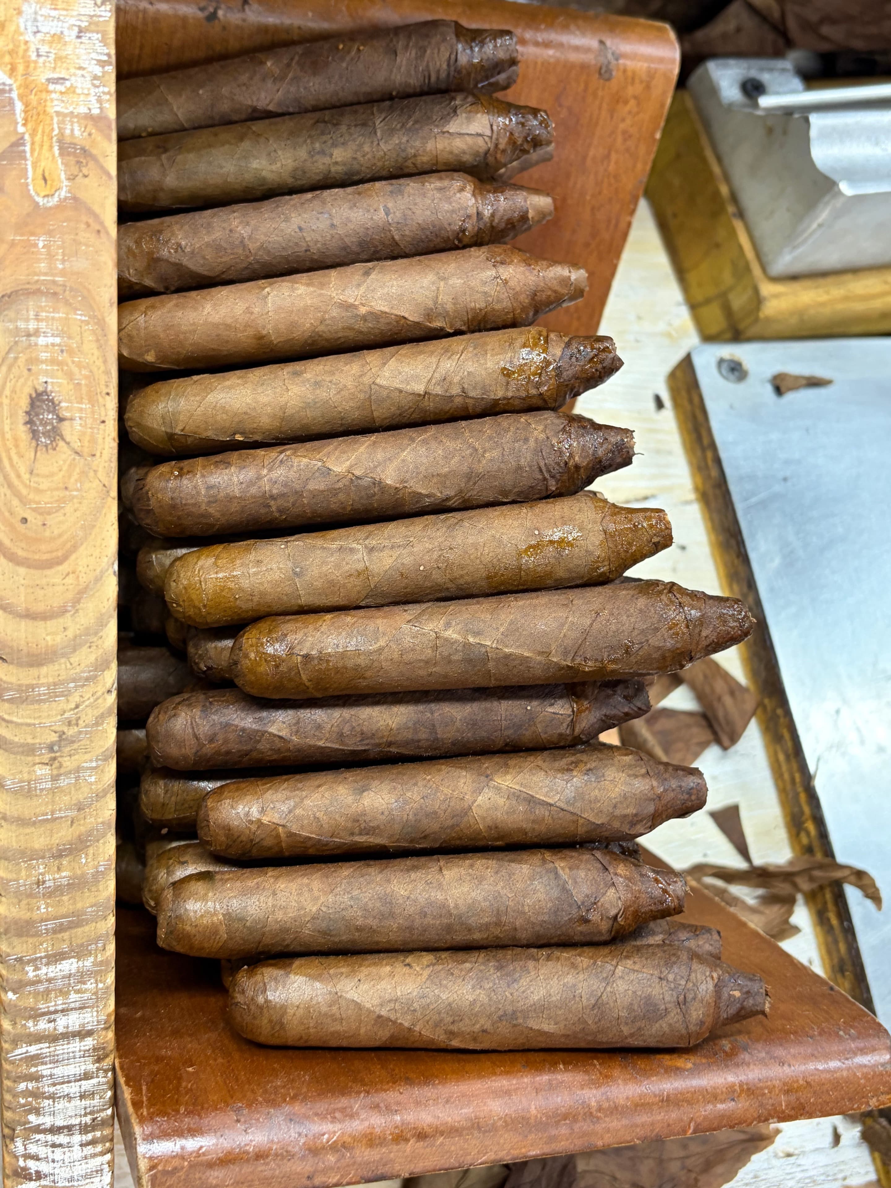 Arturo Fuente Factory Visit | ProCigar 2026 - Image 82