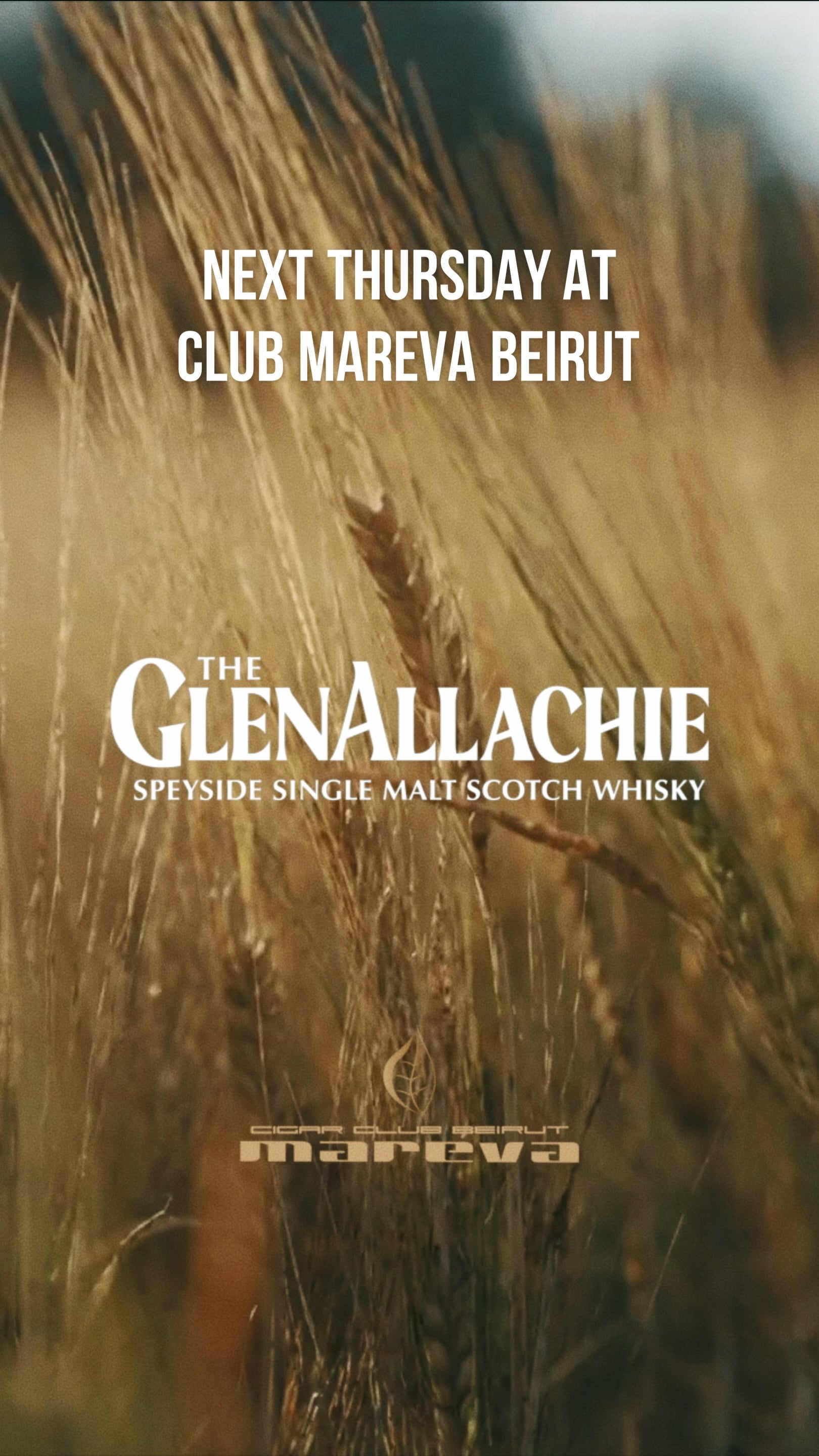 The GlenAllachie Tasting at Club Mareva Beirut